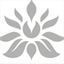 scienea.co.uk
