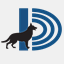 dpdogservices.com