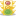 goinstructor.com
