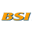 bracingsystems.com