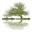 broadvest.com