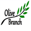 olivebranchconsultingltd.com