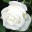 desicandra.wordpress.com