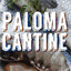 palomacantine.com