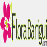 florabarigui.com