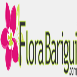 florabarigui.com