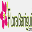 florabarigui.com