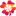 swtmedia.com