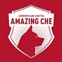 amazingche-akitas.de