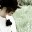 ladynads.wordpress.com