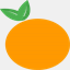 orangeappeal.net