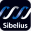 sibeliustraining.com