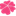 lilyangel.com