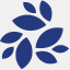 nkn.org