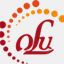 oluconsulting.com