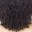 gofro.wordpress.com