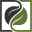 leafstormpress.com
