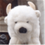 oochoobuffaloadventures.com