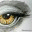 manysparrowsart.com