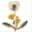 flying-dandelions.de