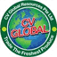 cvglobal-resources.com