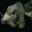 evolfish.net