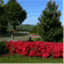 valleyvuefarm.com