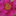 cypressgardener.blogspot.com