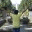 guiengarma.wordpress.com