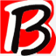 truebirch.com