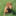 redlinevizslas.com