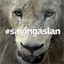 savingaslan.com