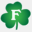 fallonspub.com