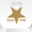 goldstarpowders.com
