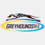 greyhoundswa.com.au