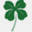 mahonysirishpub.com