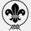 scoutsblauberg.be