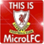microlfc.com