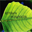 rotulosecologicos.com