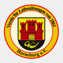 vfl-horneburg.de