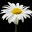 vtfarmchick.blog