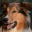 merlins-zauber.de