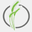meadowsinteractive.com