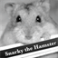 snarkythehamster.com