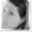dundakov.com