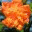 josephchipperfield.wordpress.com