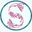 krystyswann.com