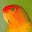 planetabird.wordpress.com