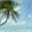 drivecartoflorida.com