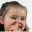 whatsupyournose.wordpress.com